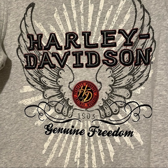 Harley Davidson Authentic Heather Gray Graphic Wing Moto Zippered Hoodie - Picture 9 of 10